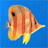 n00bster's Avatar